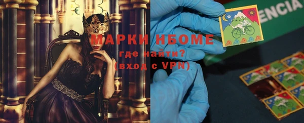 стаф Нестеровская