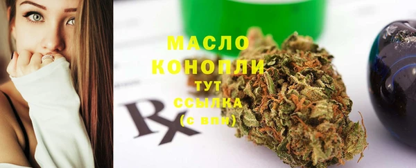 молекула духа Ельня