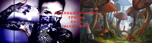 амф Елабуга