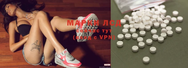 молекула духа Ельня