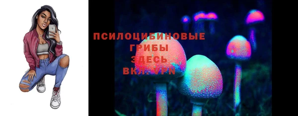 молекула духа Ельня