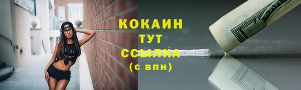 эйфоретик Калининец