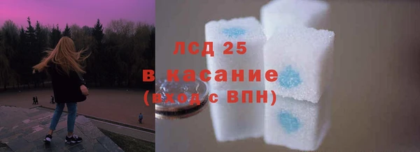 эйфоретик Калининец