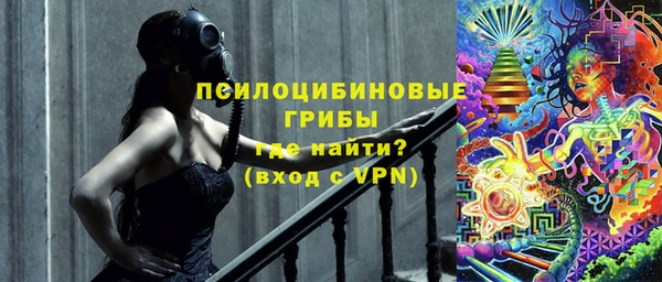 молекула духа Ельня