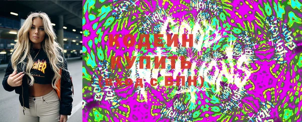 молекула духа Ельня