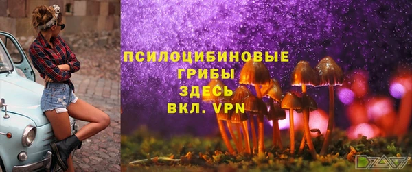 круглые Елизово